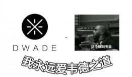 韦德之道九最新爆料,篮球传奇再续辉煌